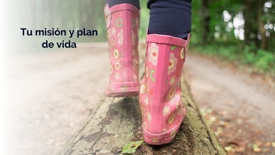Tu mision y plan de vida - maria tapia - hipnosis regresiva